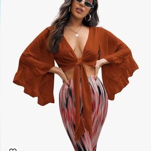 Amazon Women's Slef Tie Knot Front Long Sleeve Deep V Neck Ruffle Crop Top